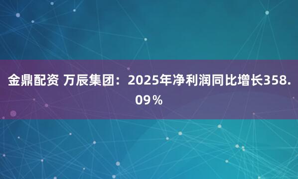 金鼎配资 万辰集团：2025年净利润同比增长358.09％